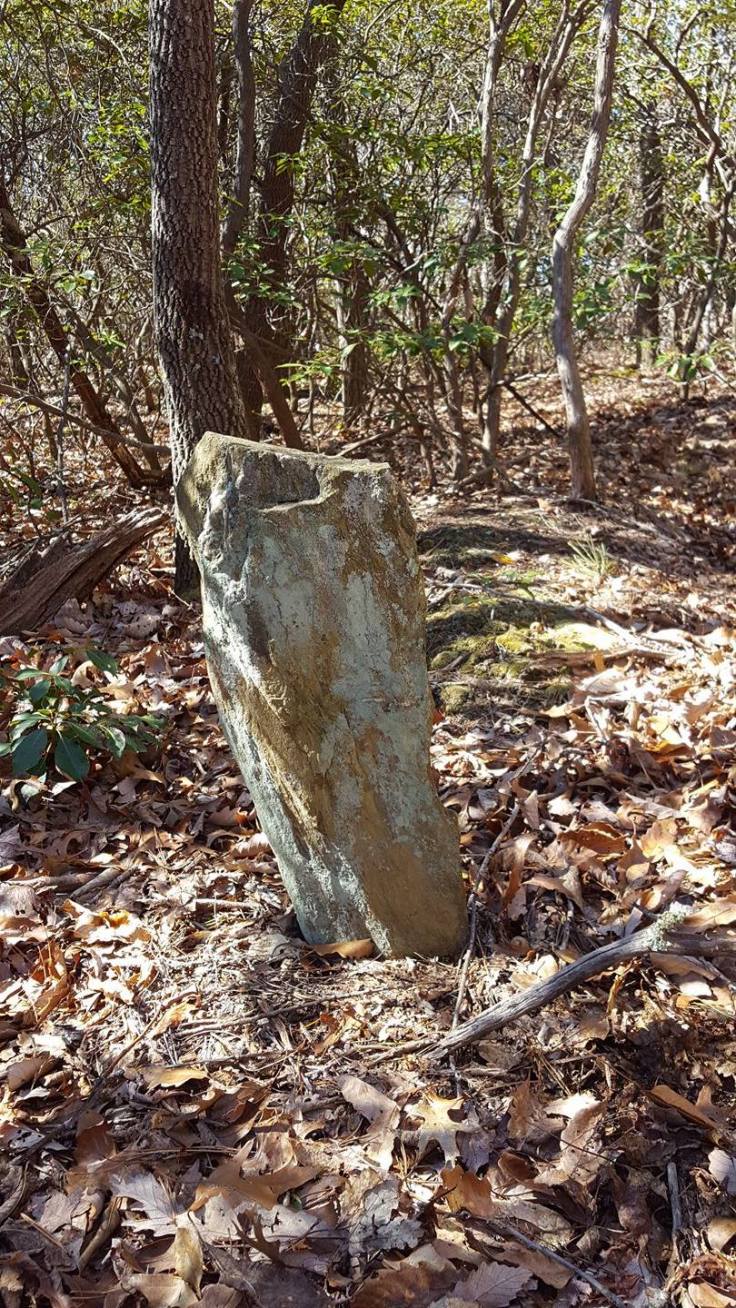 grave at scott ridge